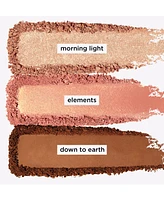tarte Clay Play To-Go Cheek Palette