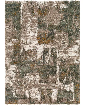 Surya Celestial Shag CSG2306 2' x 3' Area Rug