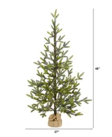 Fraser Fir Natural Look Artificial Christmas Tree with Lights, a Burlap Base and Bendable Branches, 48"