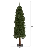 Grand Alpine Artificial Christmas Tree with Bendable Branches On Natural Trunk, 60"