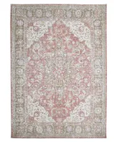 Amer Rugs Century Blythe 5'3" x 7'3" Area Rug