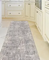 Amer Rugs Vermont Erysse 2'7" x 8' Runner Area Rug