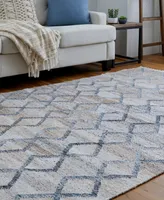 Feizy Beckett R0771 8' x 10' Area Rug