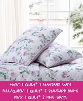 Betsey Johnson 3 Piece Blooming Roses Quilt Set, King