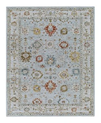 Livabliss Reina Ren 2306 Area Rugs