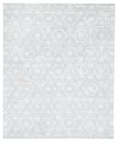 Exquisite Rugs Caprice Er2707 Area Rug