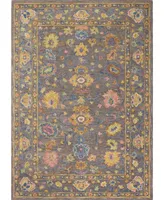 Bb Rugs Taron TAR130 3'6" x 5'6" Area Rug