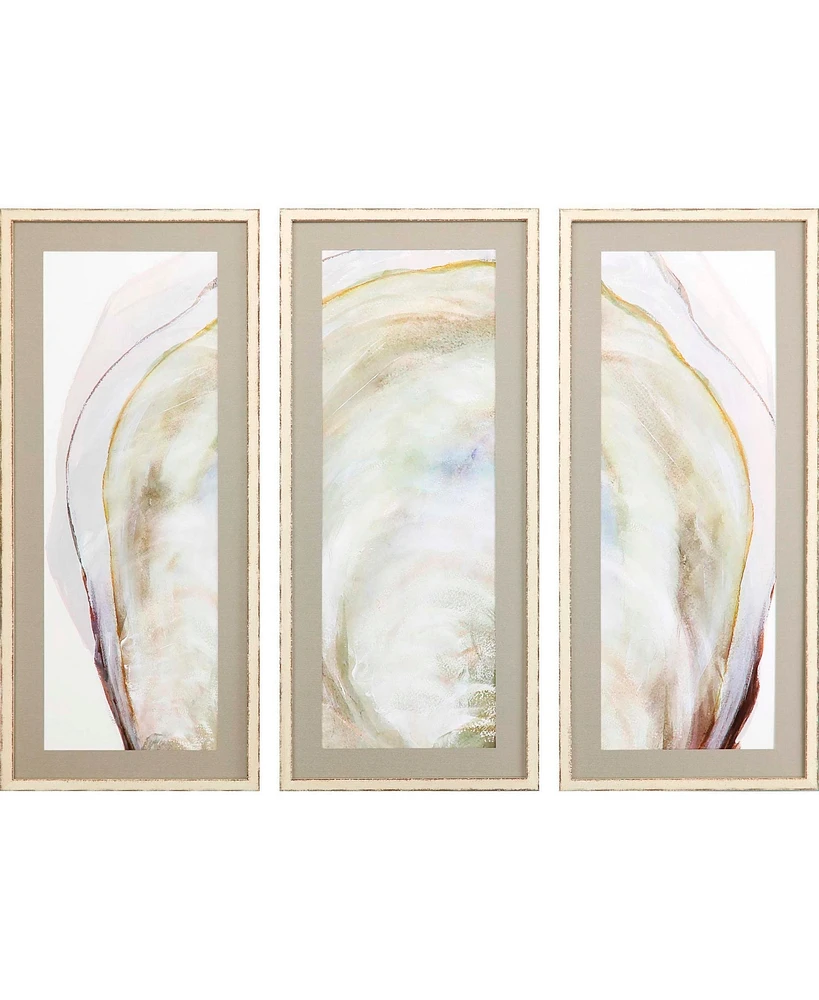 Paragon Picture Gallery Oyster Shell Wall Art Set, 3 Piece