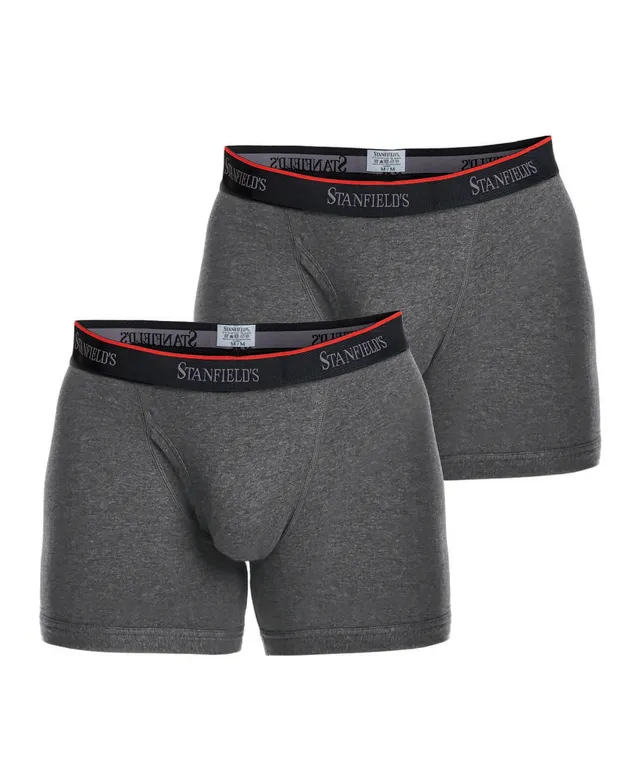 Stanfield's Men's 2 Pack Premium Cotton Boxer Briefs Underwear