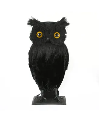National Tree Company 11" Eerie Eyes Owl