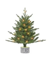 2' B/O Potted Tree with 20 Warm White Led Lights, 188 Tips