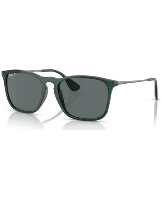 Ray-Ban Men's Polarized Sunglasses