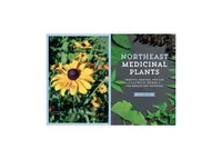 Northeast Medicinal Plants: Identify, Harvest, and Use 111 Wild Herbs for Health and Wellness by Liz Neves