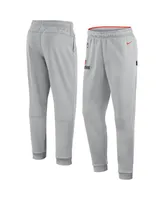 Men's Nike Gray Cleveland Browns Sideline Logo Performance Pants