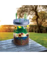 Discovery Kids Diy Terrarium Grow Kit, Fast