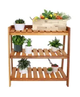 Sunnydaze Decor 3-Tier Meranti Wood Plant Stand with Teak Oil Finish - 36 in