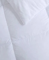 Sleep Philosophy Heavy Warmth Goose Feather Goose Down Fillingcomforters