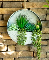 Flora Bunda Succulent in Hanging Galvanized Tin Wall Planter, 8"