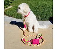 PoisePup Pet Dog Collar - Candy Swirl