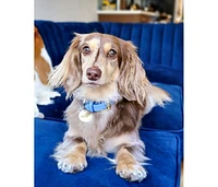 PoisePup Pet Dog Collar - Ocean Vibes