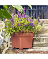 Novelty Square Flower Plastic Pot/Planter, Light Terracotta, 18"