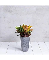 Novelty 35270 Artstone Ella Tall Square Planter Grey - 27.5-inch