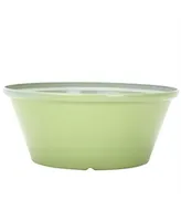 Gardener Select Tulip Bowl Planter Green, 12 Inch