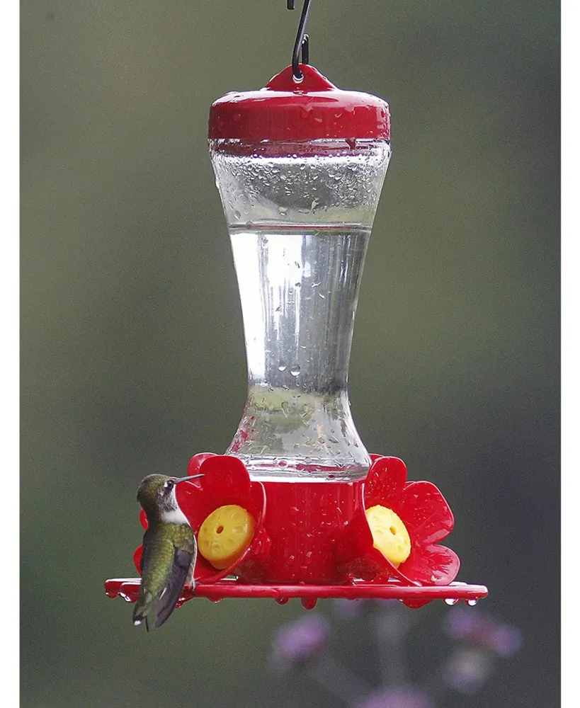 Stokes Select Impatiens Hummingbird Feeder with Four Feeding Ports, 8 fl oz Nectar Capacity