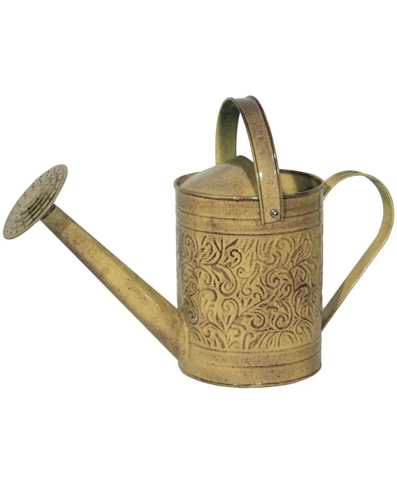 Robert Allen Llc Robert Allen Home and Garden IronLite Morgan Watering Can,Topaz