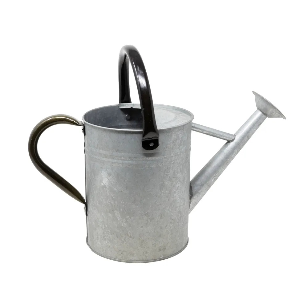 Panacea Metal Watering Can, Vintage Aged Galvanized, 1 Gallon