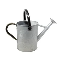 Panacea Metal Watering Can, Vintage Aged Galvanized, 1 Gallon