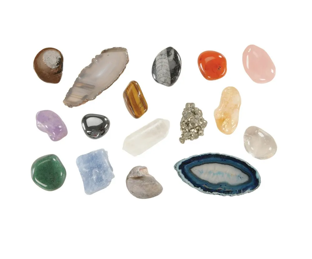 Kaplan Early Learning Company Let's See Nature Collection with Fossils, Rocks, Mineral and More