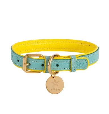 Pet Dog Collar - Sunshine Babe