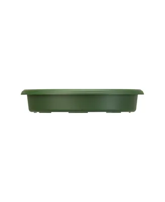 Akro Mils Panterra Plastic Saucer, Green - 8in