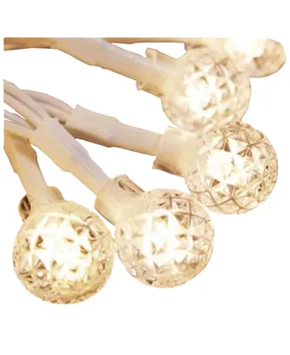ProductWorks 18183 Light String, 6.5 x 10 feet, Warm White Berry