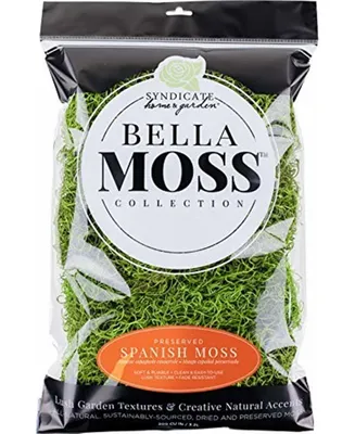 Bella Preserved Spanish Moss, Green