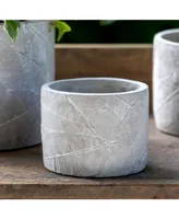 Leaf Embossed Cement Pot