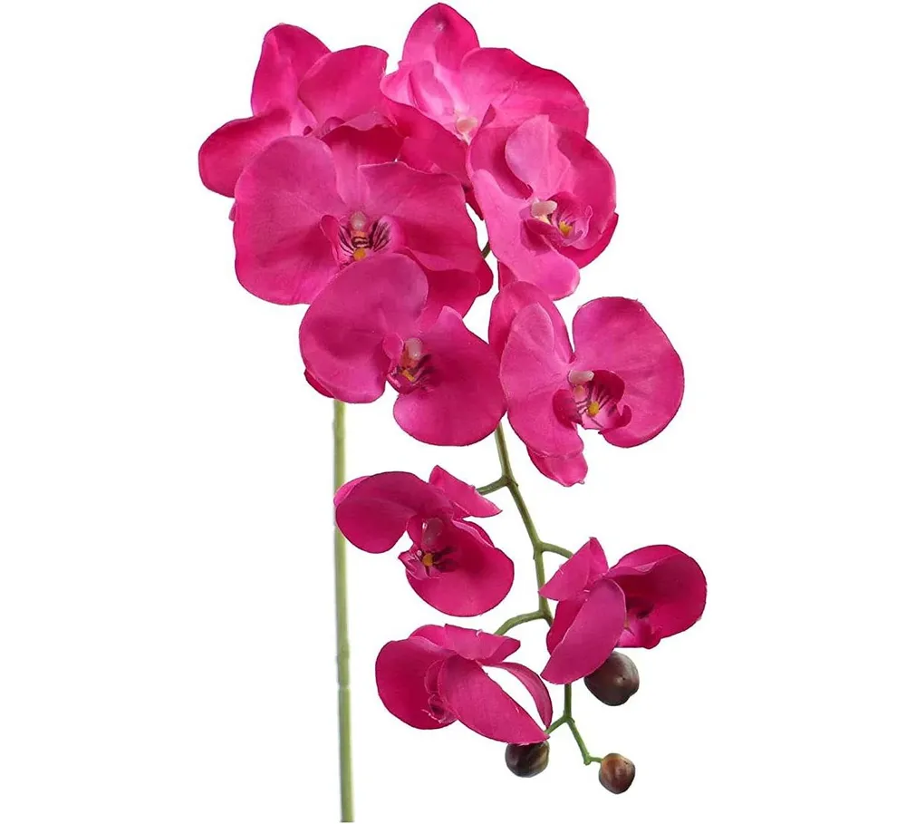 Fuchsia Orchid Stems: Vibrant 33.5", Lifelike & Versatile