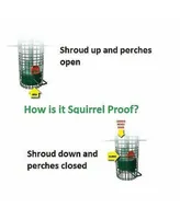 Brome 1015 Squirrel Buster Classic Tube Bird Feeder, Green