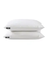 Serta HeiQ Cooling Softy-Around Feather & Down 2-Pack Pillow