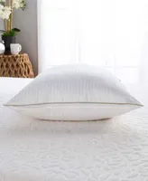 Indulgence By Isotonic Back Stomach Sleeper Pillow Collection