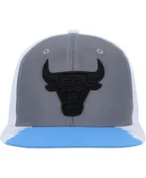 Men's Mitchell & Ness Silver, Blue Chicago Bulls Day 5 Snapback Hat