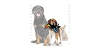 Tuffy Jr Zoo Toucan, 2-Pack Dog Toys