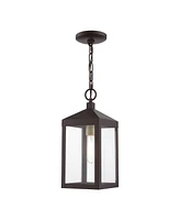 Livex Nyack Light Outdoor Pendant Lantern