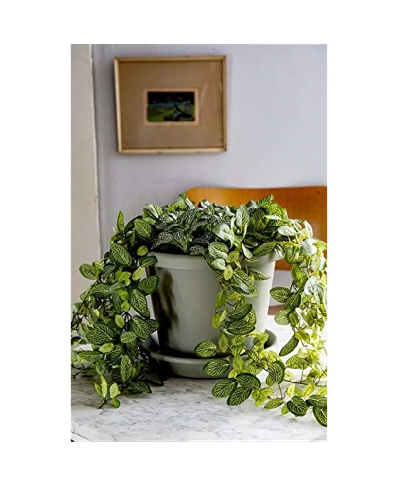 The Hc Companies Flower Pot Drip Trays for Classic Planters, 16 - Evergreen