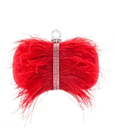 Women's Feather Embellished Minaudiere Clutch