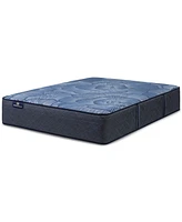 Serta Perfect Sleeper Euphoric Nights 14" Plush Hybrid Mattress