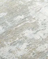 Livabliss Brunswick Bwk 2333 Area Rug