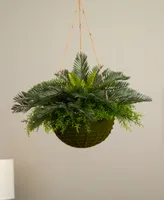 Nearly Natural Cycas Artificial Plant in Mossy Hanging Basket (Indoor/Outdoor)