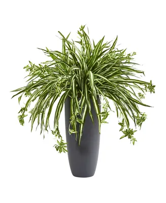 Nearly Natural 33" Spider Artificial Plant in Cylinder Planter